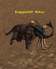 Rappontiff Motar